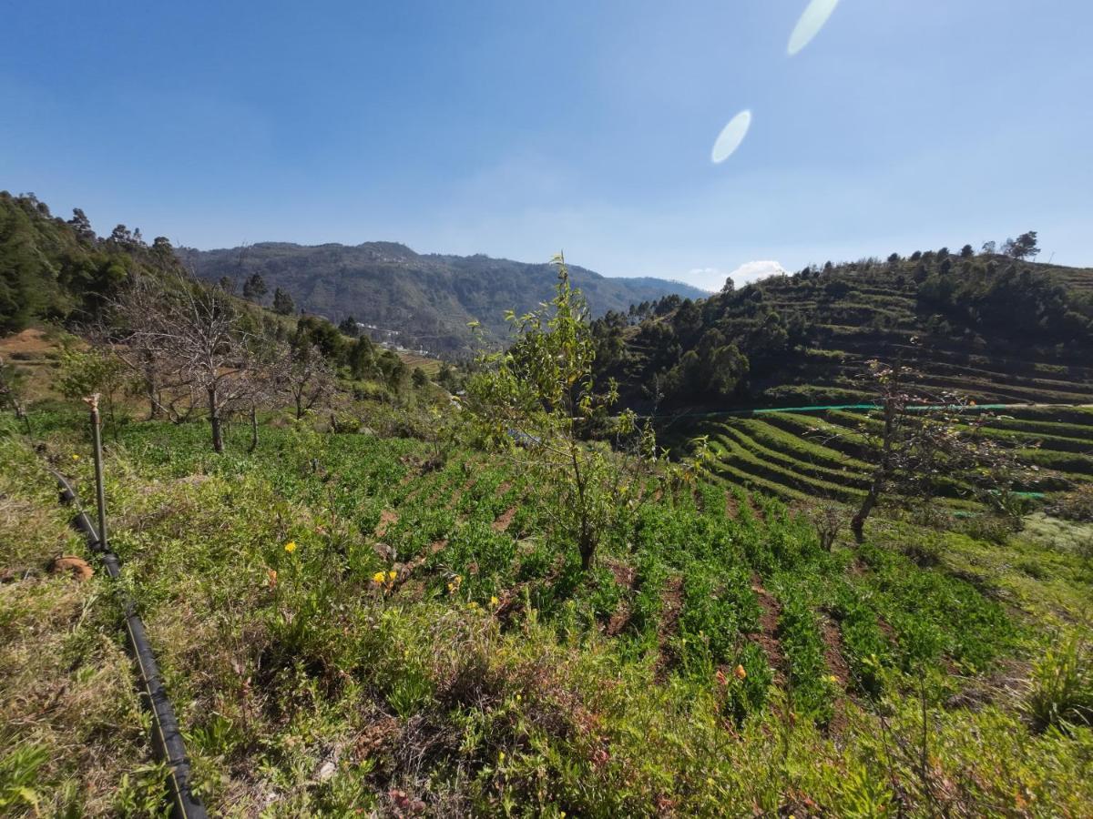 Villa Hie Moksha Glamping Tamilnadu - Tamilnadu - Kodaikanal Exterior foto